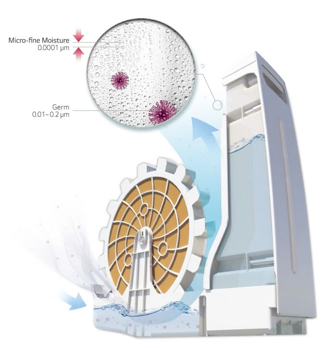 Mechanism of Natural Humidification